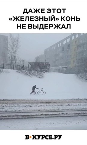 �������� ������ �� �� �����.��