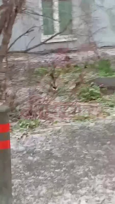 ���� ���� � ���� �� ���������� � ������ �����