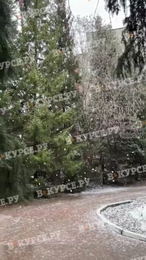 ���� ��������� � �����!. ������������ � MAX | ���� ����� ������