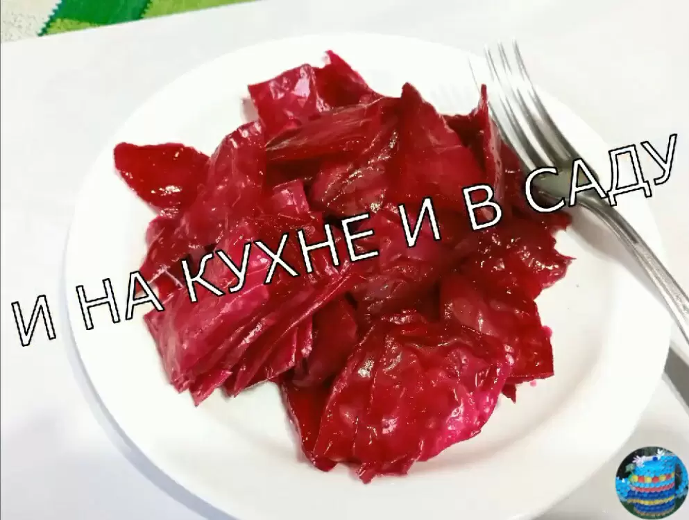 Приготовление украинской капусты со свёклой: простой и быстрый рецепт