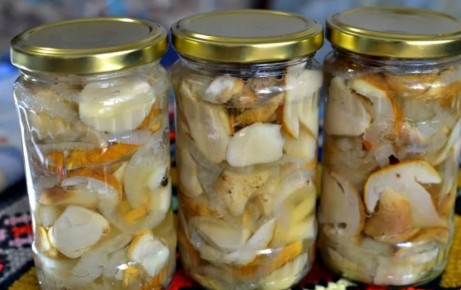 ������� ����� � �����: ������������ ������ �� ������ ������