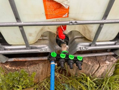 ��������� ���� ��� ���������� ������: ������� ��������� ������ �� ����