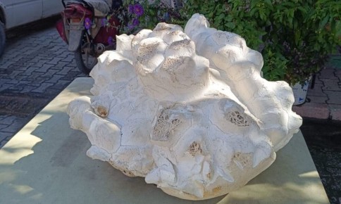 � ������ ������ ���������� ���������� ���� ����� ����� 20 �����������