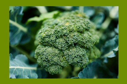 ��������: ��� ��������������� �������