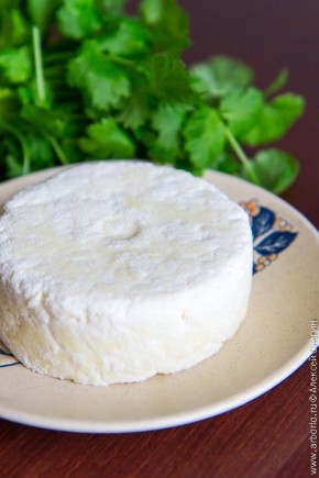 Панир: вкусный и быстрый домашний сыр