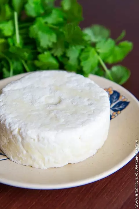 Панир: вкусный и быстрый домашний сыр
