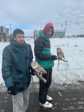 ����������������, ������� �� ��������� ���������� ������������������ � ������, �����������