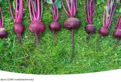 ��� ��������� ���������� ������ ��� ��������� ������� ����������� � ����