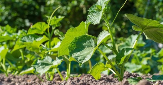 ��� �������� ������ � �������� ������ ��� �������� ������