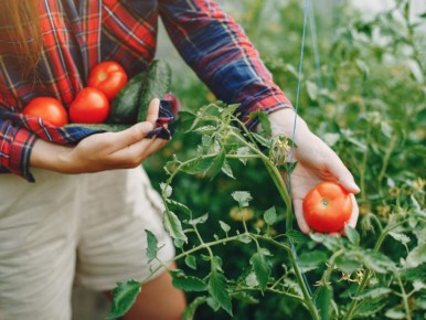 ������ ��� �������: ������ � ��� ��� ��������� ������