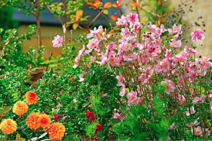 ������� �������: ������������ ���������� ������ � ����� ����