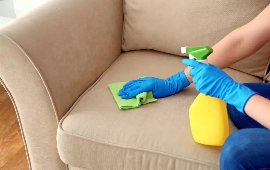 Как вернуть свежесть дивану: хитрости чистки в домашних условиях