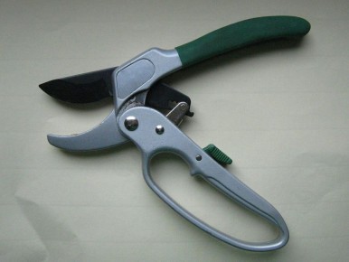 ��� ������� �������� ����� ��������� ����� ���������: �������� ������ � �� �����������