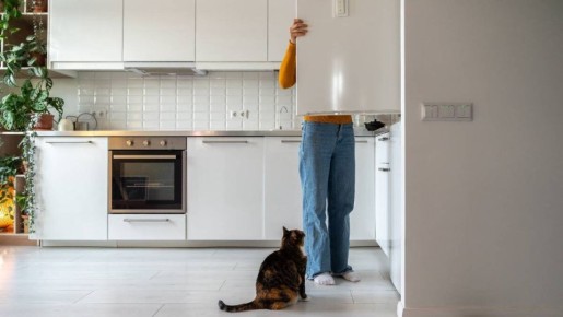 ������� �������� �������: ����� �������� ������� �������� ���������