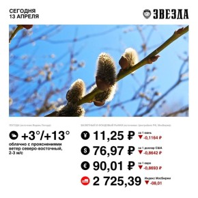 ������ ����, �����!. ������� ����� ����� � ��� �������