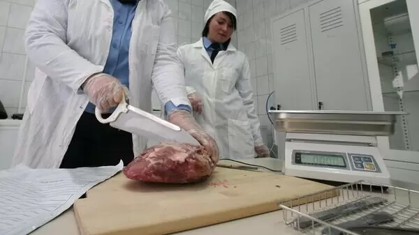 Россельхознадзор усиливает контроль за белорусским мясом: причины и последствия