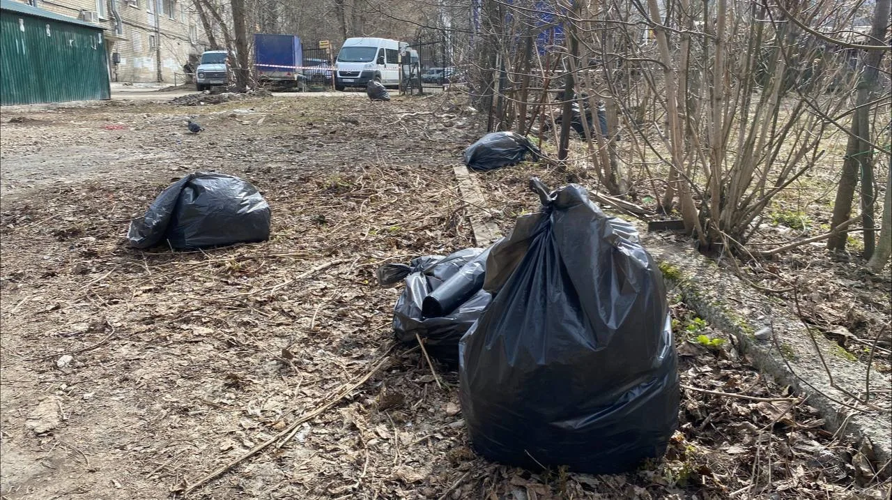 Общегородской субботник пройдет в Перми