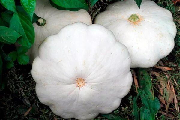 �������� ���������: ��� ��������� ������, ������� ������� ���� �����