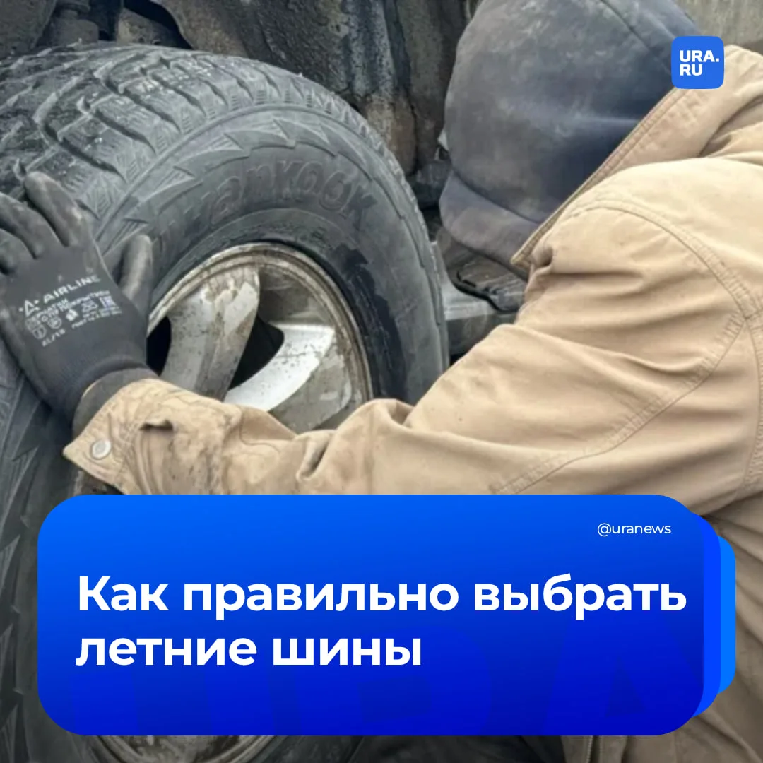 «Натуральный каучук быстрее портится на воздухе»: эксперты пермского Политеха объяснили URA.RU, почему нельзя ориентироваться только на календарь