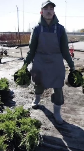 Эдуард Соснин: В этом году в рамках проекта #ПермьЗелёная в Перми появятся 1209 кашпо мобильного озеленения и более 1 миллиона цветов