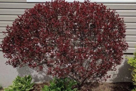 ��� ���������� � ����� ������� ��� ��������� ������