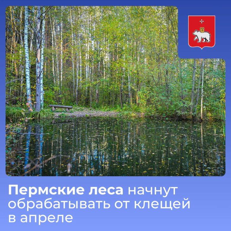 �������� ���� ������ ������������ ������ ������