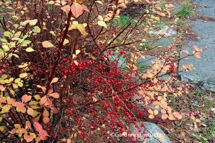 ������� ���� �� �����: ������� �������� ��� �������� ������