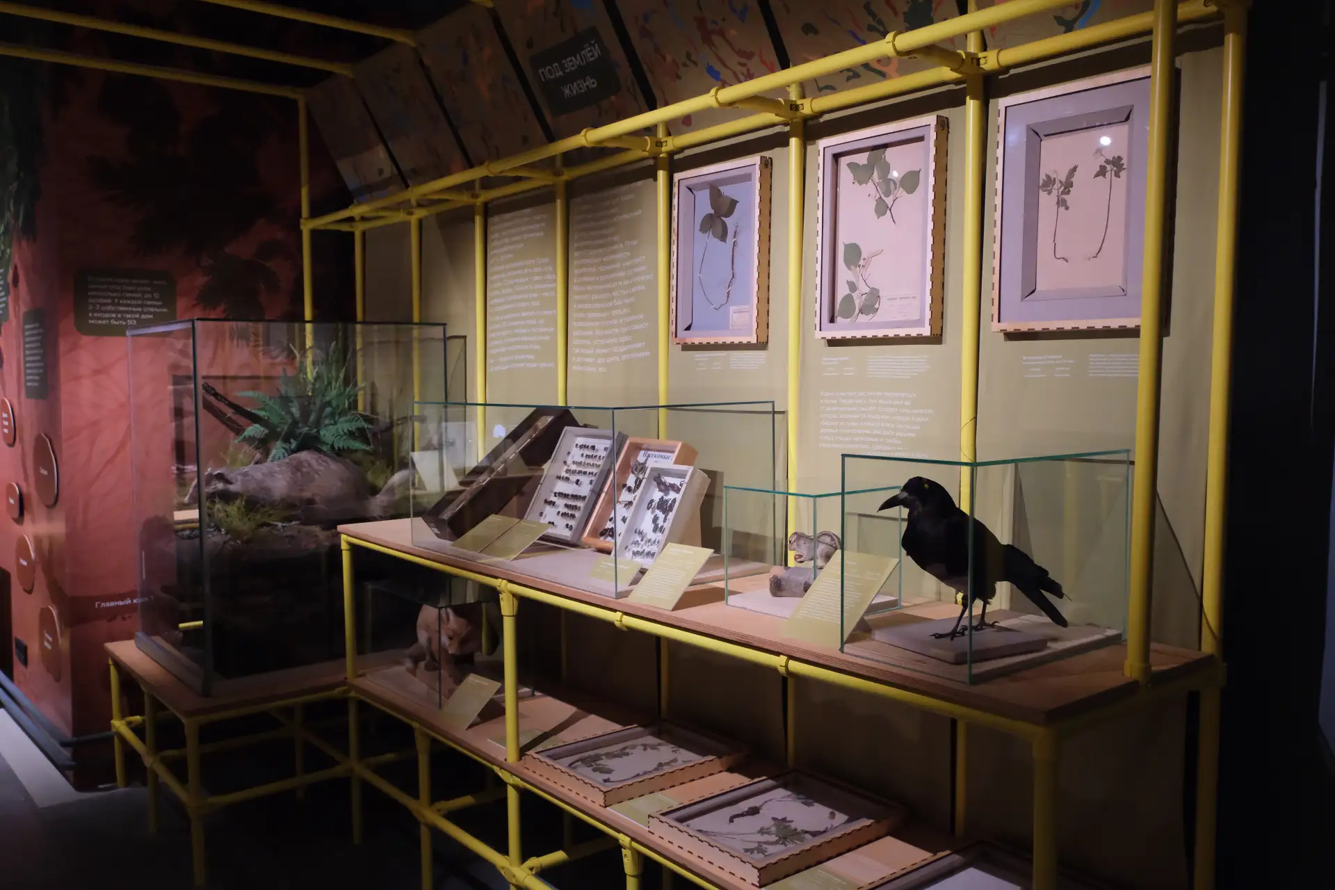 Дмитрий Махонин: Больше, чем музей. На территории «Завода Шпагина» начал работу новый Детский музейный центр Пермского краеведческого музея Дмитрий Махонин: Больше, чем музей. На территории «Завода Шпагина» начал работу новый Детский музейный центр Пермского краеведческого музея