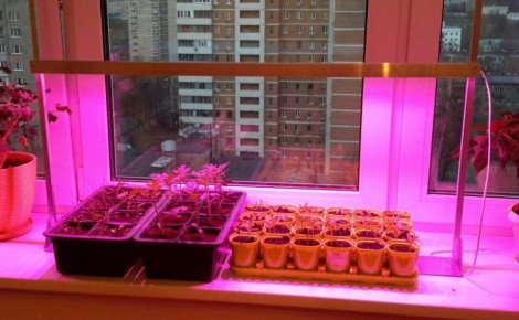 ��� ������� ������ ����� ��� ������� �������: ���������, ���������� ��� ��������������?