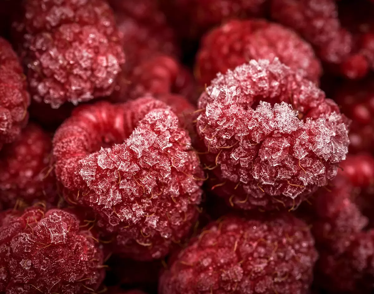 Лёд и пламя: как извлечь максимальную пользу из замороженных ягод зимой