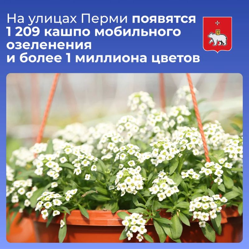 �� ������ ����� �������� 1 209 ����� ���������� ���������� � ����� 1 �������� ������