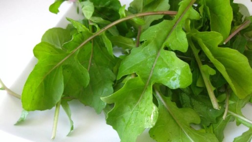 Полезные свойства рукколы для организма: как ее правильно хранить