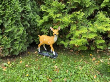 ��� ������� ���� � ����� ���� � ������� �������