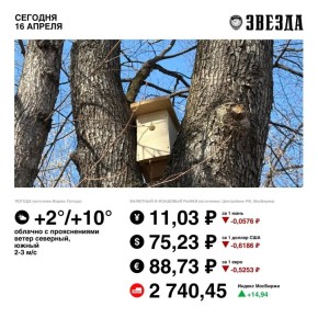 Доброе утро, Пермь!. Четверг пройдет без осадков