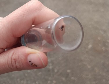 Число пострадавших от укусов клещей в Прикамье с начала года выросло до 125 человек