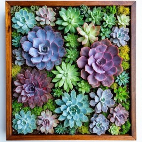 ����������� �� �����������: ����� ������������ ��������� ��� ������ ���������