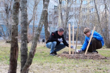 ������ �������� ��������� ������ � ������ ����� ���� ����������� � ��������