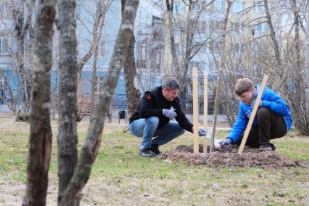 ������� �������: �� �������� ������� ������ �������� ���������