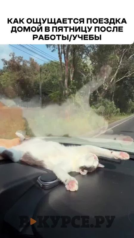 �������� ������� �� �� �����.��