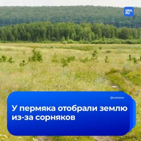 �� ������� � ������� ����� �������� �����