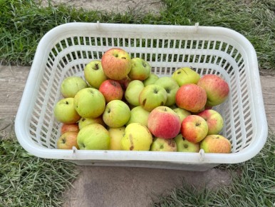 ��� �������� �������� ����� �� �����: ������ ��������������