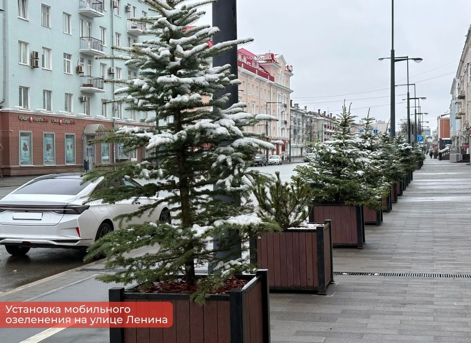 ������ ������: �������� �� ������� �������, ������ ������ ����� �������