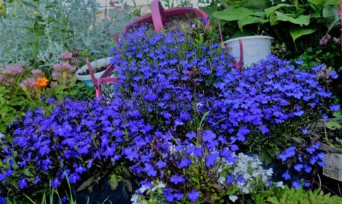 �������: �� ���������� ������� �� ������ �������� ������