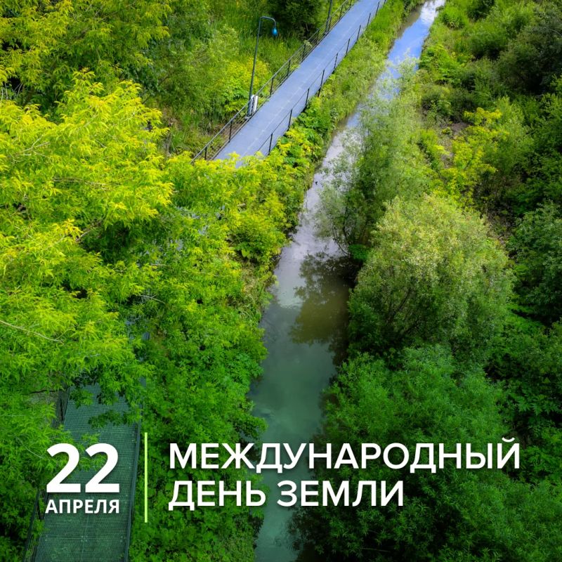 ������������� ���� ����� � 22 ������