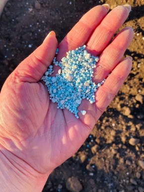 ����� �� ����: �������� ��������� ��� ������, ���� � ��������