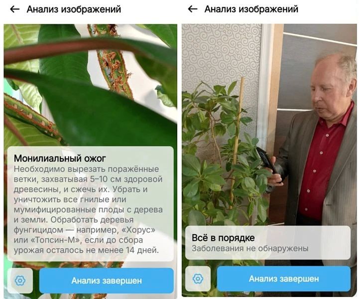 �������� ������ ����������� ������� ��� ������������� �������� ��������