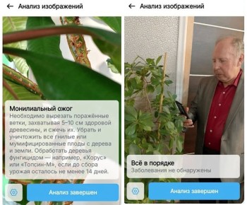 �������� ������ ����������� ������� ��� ������������� �������� ��������