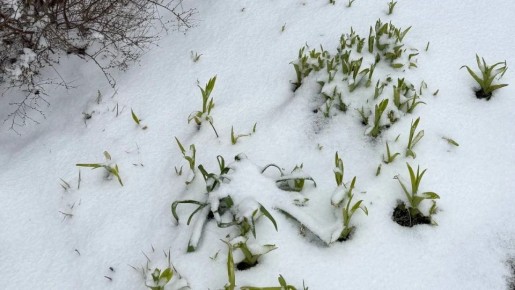 21 ������ ����� ����� �������� ���� ������ � ��������