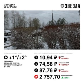 ������ ����, �����!. . ������� ����� ����� ��������� � ��������