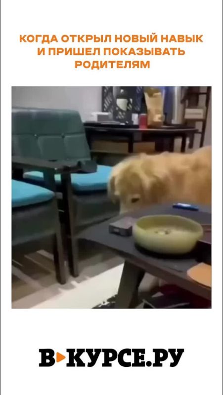 �������� ������� �� �� �����.��